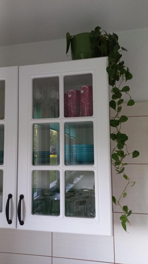 Global Trip Apartament Stadion Zimowy Tychy Bagian luar foto